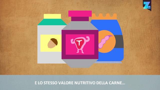 Dallo scarico al piatto, la proteina col basso impatto