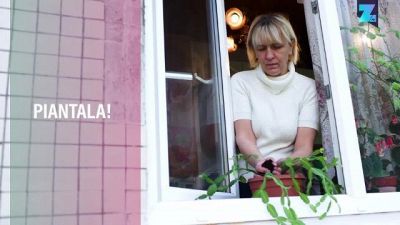 La carta che cresce: che ne dite di un regalo 'verde'?