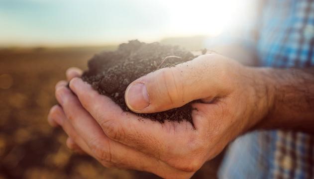 Mangiare terra è più salutare di quanto immagini