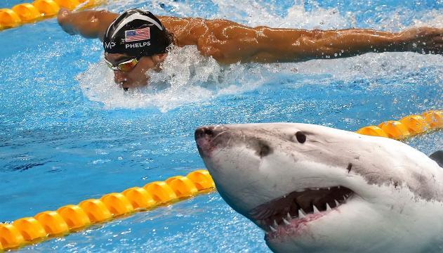 Michael Phelps contro lo squalo: non c'è gara... o sì?