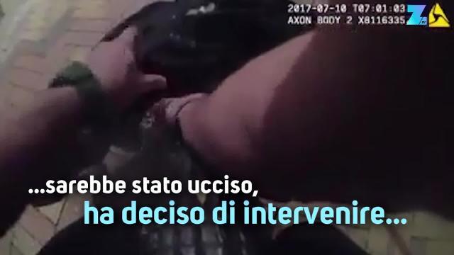 Un coccodrillo in casa: chi lo prenderà?