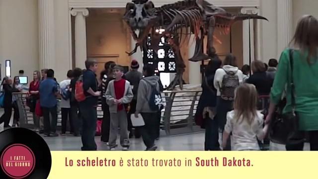 12 agosto: Sue è il più grande Tirannosauro Rex mai ritrovato