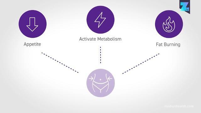 Problemi di peso? L'incubo del grasso (forse) è finito