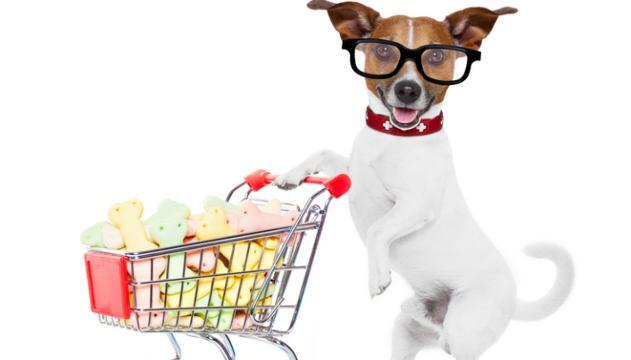 Quando fido aiuta a fare la spesa. Il cane spinge il carrello