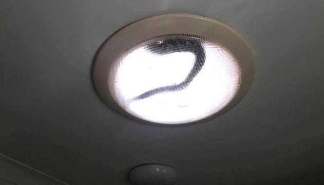 Paura in bagno. Nella plafoniera c'è un serpente