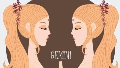 Donna Gemelli: le caratteristiche #dichesegnosei