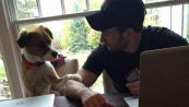 Chris Evans torna a casa dopo 2 mesi, il tenero saluto del cane