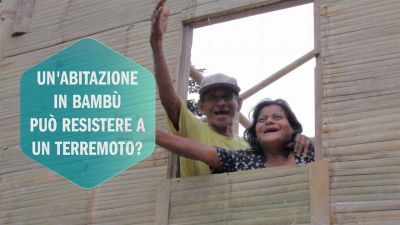 La nuova frontiera dell'edilizia è il bambù!