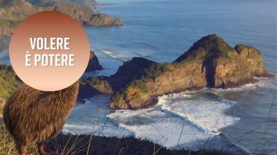 Air New Zealand ci insegna che: volere è potere