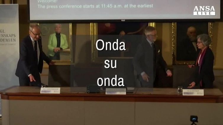Breve guida alle onde gravitazionali