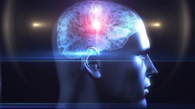 Cinque dritte per un cervello in forma