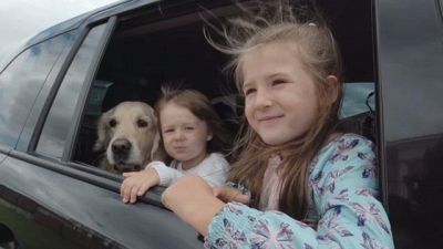 Educate i vostri figli a rispettare cani e gatti