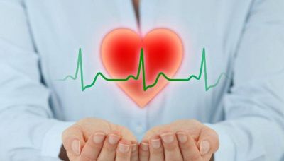 Tutti gli alimenti che aiutano il cuore