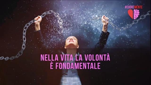 La volontà non è mai ostinazione