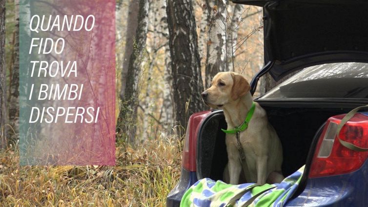 'Fido, va' e riportami il mio bambino'