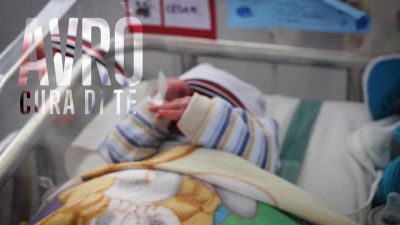 Coccole 'volontarie': dare amore è il vero scopo