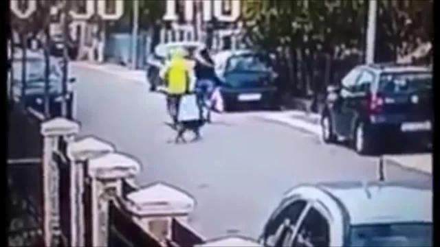 Provano a scipparla: salvata da un cane randagio