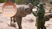 Il 'santuario' degli elefanti è in Kenya