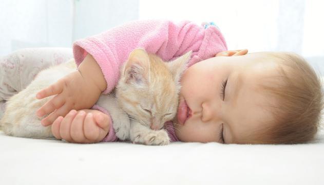 I gatti fanno bene alla salute