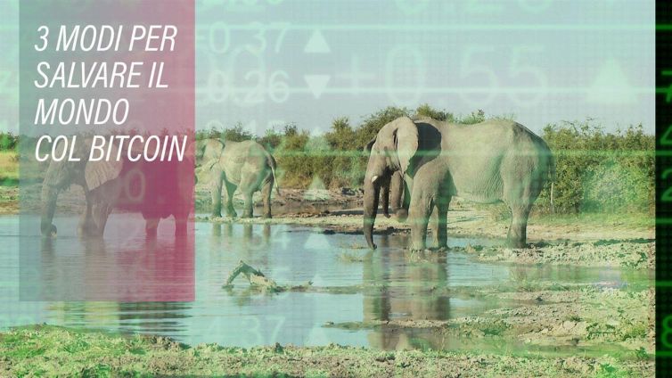 Perché conviene usare il bitcoin per beneficenza?