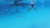 Nuota alle Bahamas: all'improvviso l'attacco dello squalo