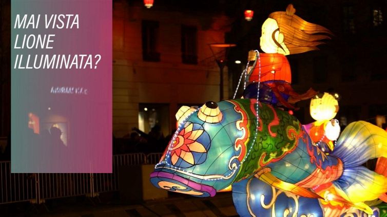 Siete mai stati al Festival delle Luci di Lione?