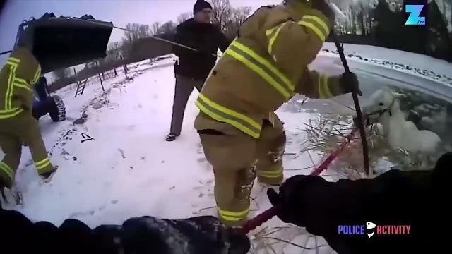 Sorprendente salvataggio: il cavallo ce la fa