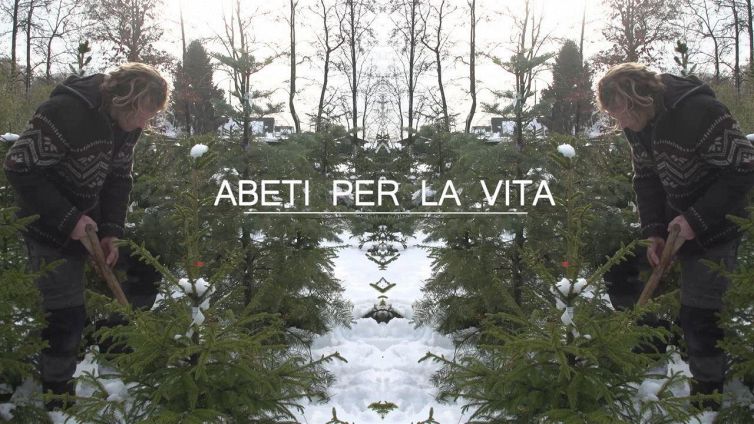 Natale a impatto zero: come si fa?