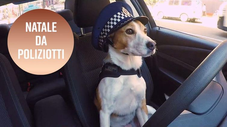 Cosa canta la polizia a Natale?