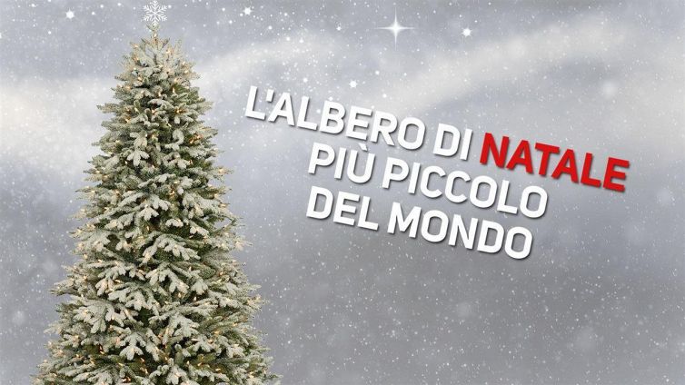 L'unico albero di Natale che non avete mai visto prima