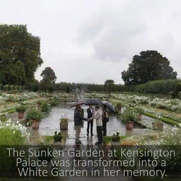 Kate Middleton: l'imperdonabile dimenticanza nel video ufficiale