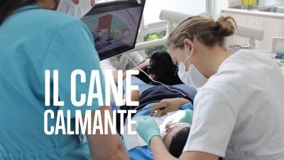 Chiama Fido, che andiamo dal dentista!