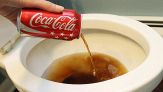 Versate coca cola nel water: il risultato vi sorprenderà!