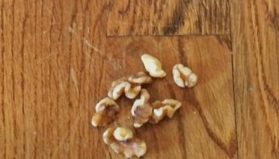 Strofinate una noce sui vostri mobili: il risultato vi sorprenderà