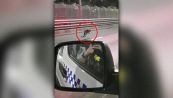 Il piccolo canguro va in città: scatta l'inseguimento della polizia