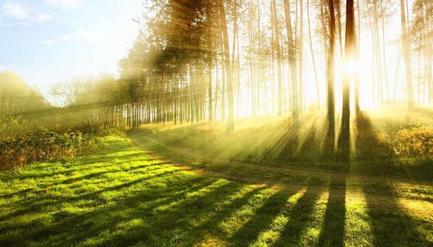 10 buone notizie passate sotto silenzio