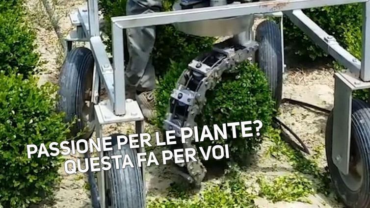 Sfere perfette in giardino: si può fare!