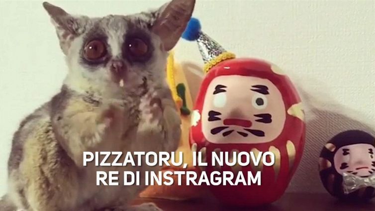 La nuova star di Instagram è un feticista!