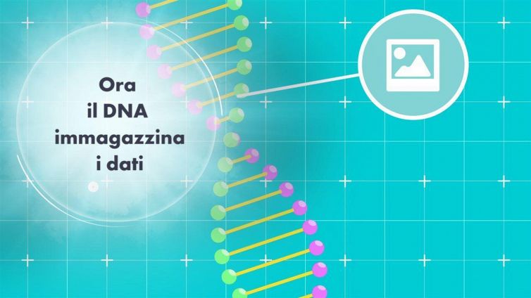 Il DNA funzionerà da pennetta USB?
