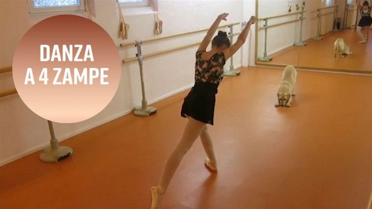 Uno spettacolo di danza particolare