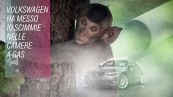 La tua auto sta soffocando le scimmie?