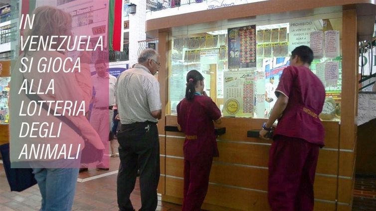 Ecco che cos'è la lotteria degli animali
