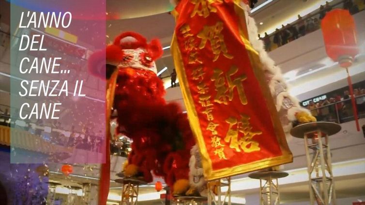 In Malesia comincia l'anno del cane, ma non si vede...