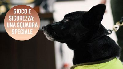 Squadra speciale: agenti 'quattrozampe' in arrivo