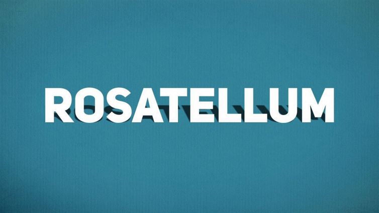 Rosatellum: ciò che devi sapere prima di votare
