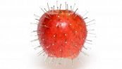 Infilate 10 chiodi in una mela (per una notte), il risultato vi sorprenderà…