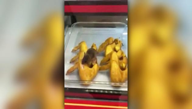 Orrore al fast food: il topo si mangia le ali di pollo