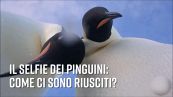 Pinguini curiosi: una GoPro per 'pranzo'