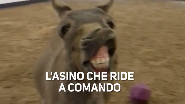 Un animale felice di essere al mondo!