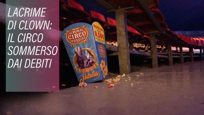 Il circo: la tradizione vive ancora?